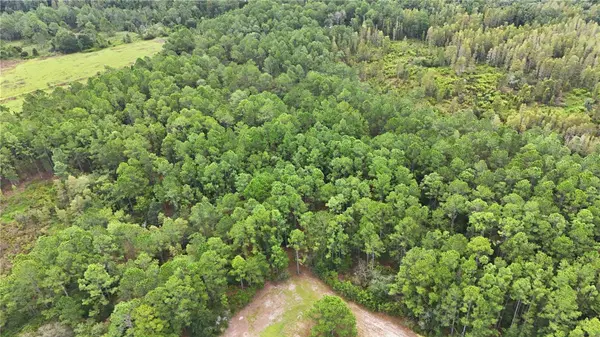 25-26-21-000000-032160, Polk City, FL 33868