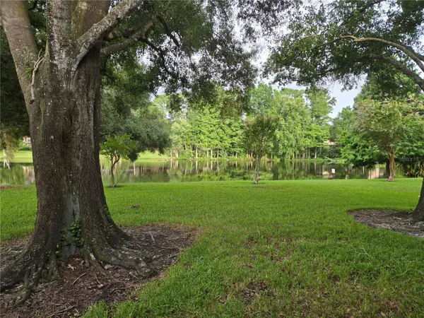 11805 SKYLAKE PL #C, Tampa, FL 33617