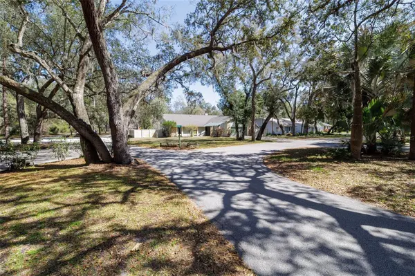 317 OAK FERN CIR, Ormond Beach, FL 32174