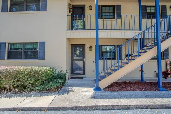 110 N TREMAIN ST #110, Mount Dora, FL 32757