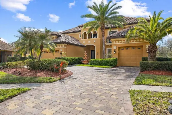 20120 SHADY HILL LN, Tampa, FL 33647