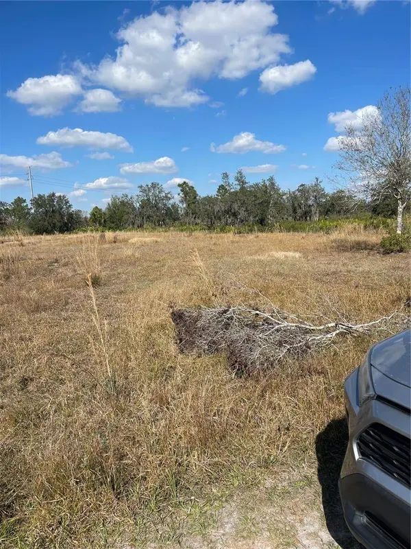 HAMMERMILL AVE, Lake Wales, FL 33859