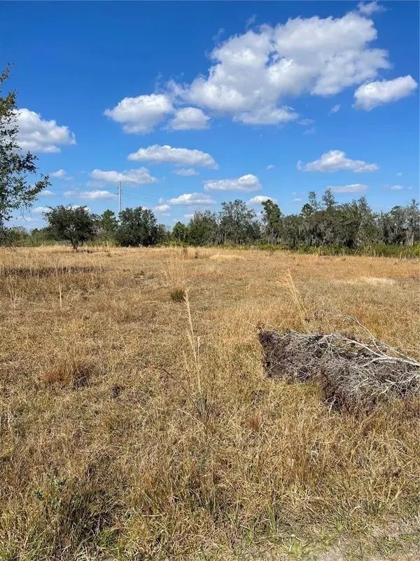 HAMMERMILL AVE, Lake Wales, FL 33859