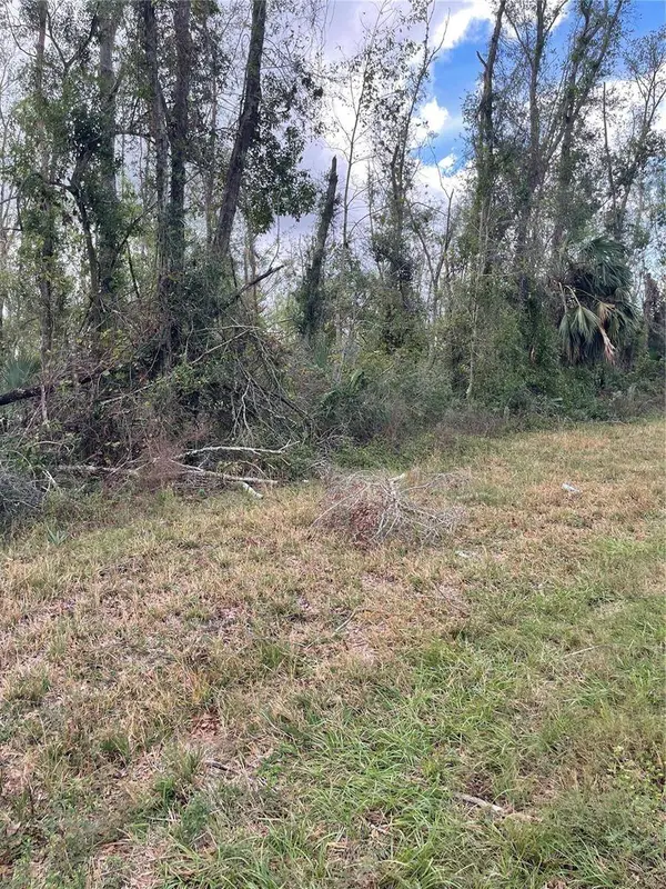 W US 27, Mayo, FL 32066