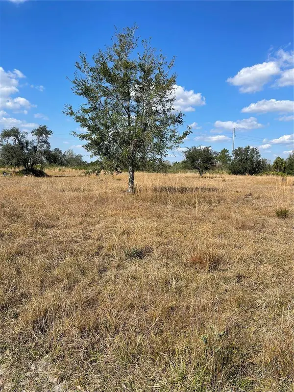 HAMMERMILL AVE, Lake Wales, FL 33859