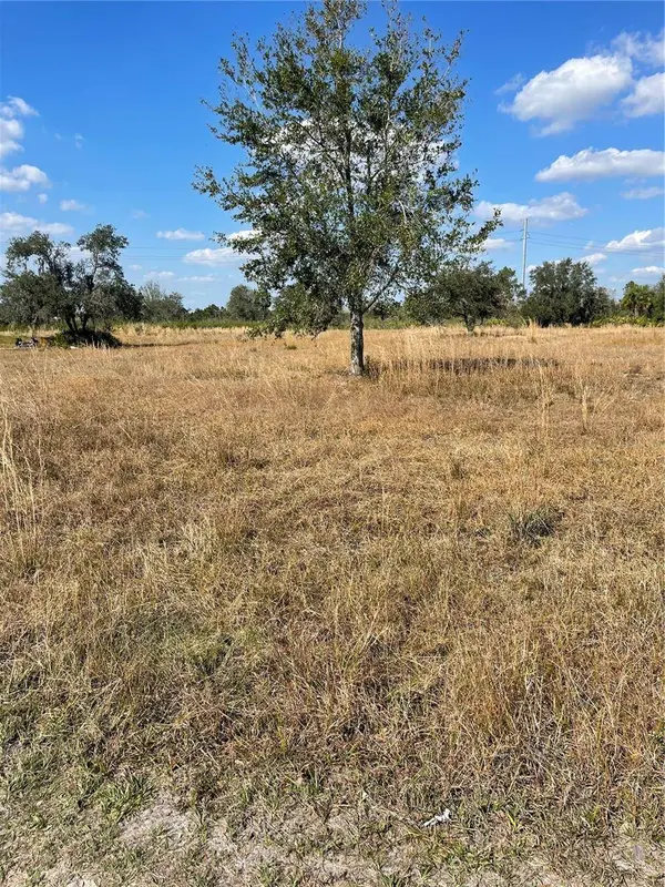 HAMMERMILL AVE, Lake Wales, FL 33859