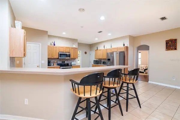 10903 WILDCAT DR, Riverview, FL 33579