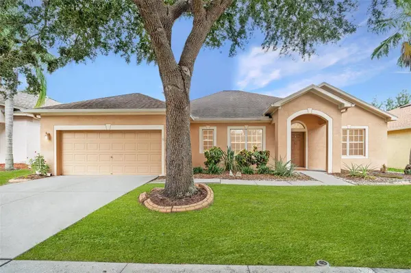 10903 WILDCAT DR, Riverview, FL 33579