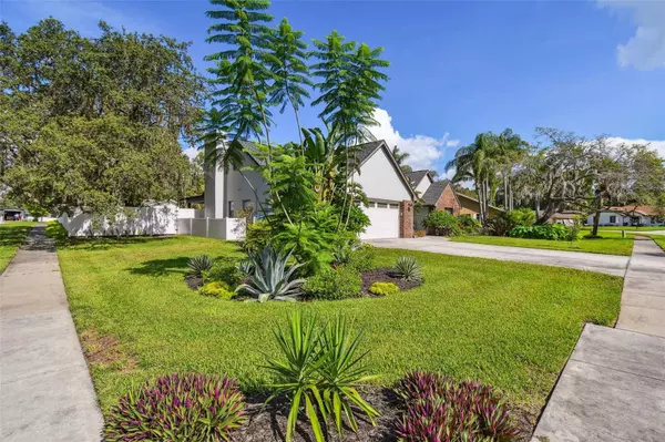 1426 ENISWOOD Pkwy, Palm Harbor, FL 34683