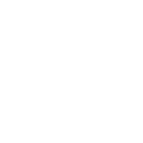 The DeBellevue, Edwards, and Watson Legacy: A Tampa Bay Family Story