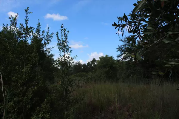 6715 GATOR RANCH ST, Plant City, FL 33565