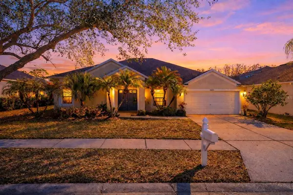 26000 RISEN STAR DR, Wesley Chapel, FL 33544