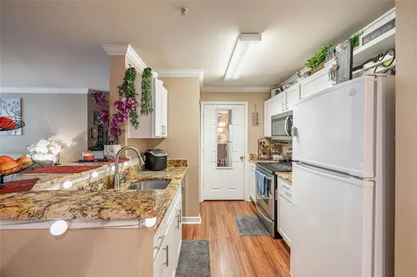 18439 BRIDLE CLUB DR #1, Tampa, FL 33647