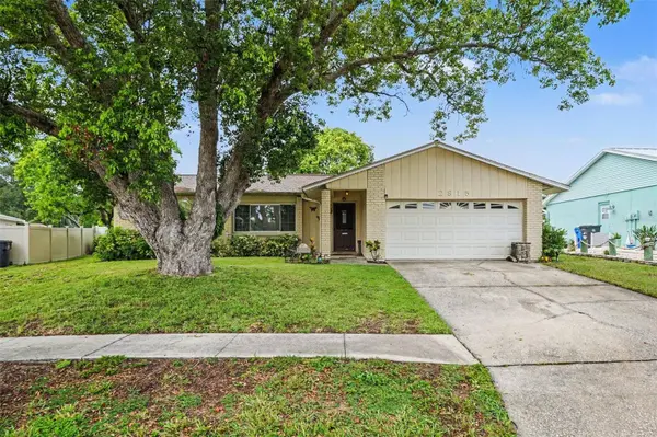 2815 LINDEN TREE ST, Seffner, FL 33584