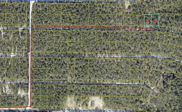 lot 28-29 E Black Cherry Dr DR, Defuniak Springs, FL 32433