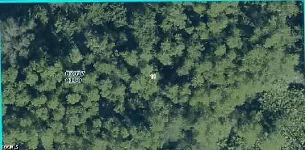 1002 Robert AVE, Lehigh Acres, FL 33936