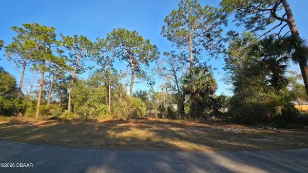 LOT 38 Mardon CIR, Paisley, FL 32767