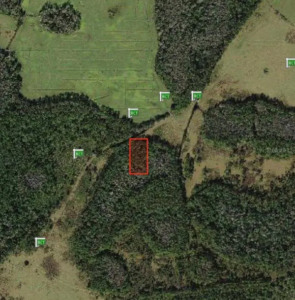 POLK CITY, Polk City, FL 33868