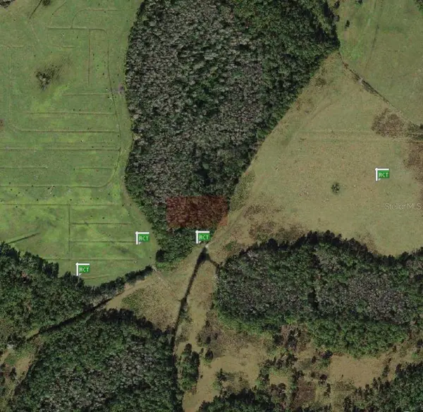 POLK CITY, Polk City, FL 33868