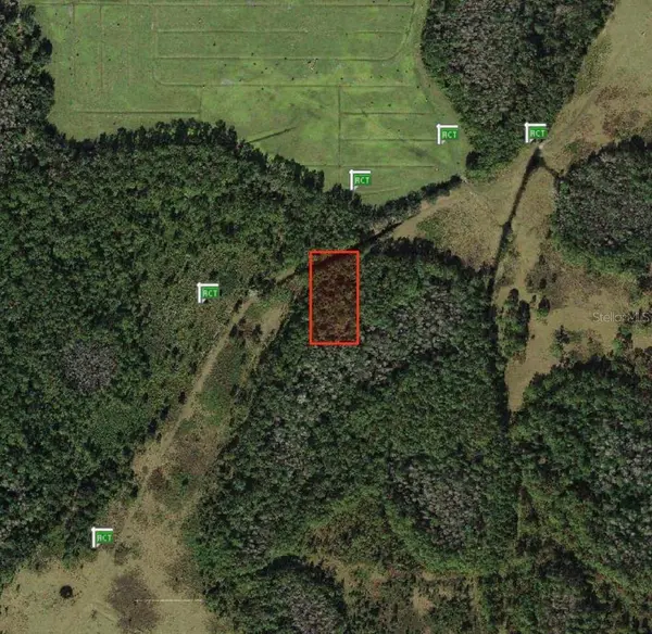 POLK CITY, Polk City, FL 33868