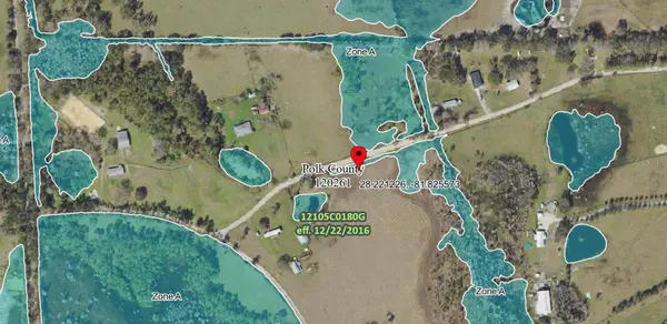 POLK CITY, Polk City, FL 33868