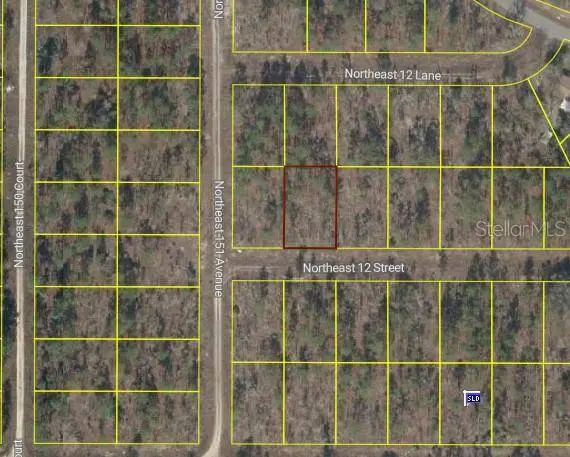 TBD NE 12 ST, Williston, FL 32696