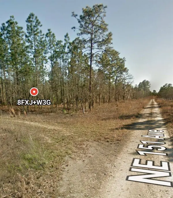 TBD NE 12 ST, Williston, FL 32696