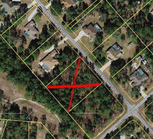 5579 N MALLOWS CIR, Beverly Hills, FL 34465