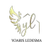 LOGO-YOARIS
