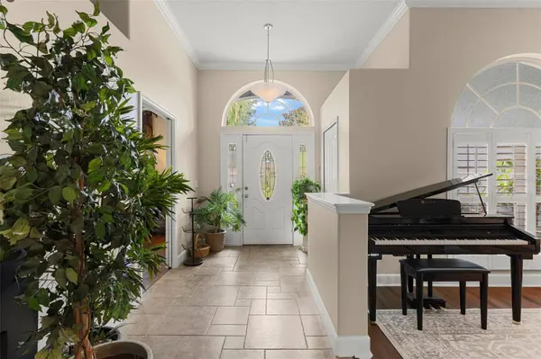 6234 TREMAYNE DR, Mount Dora, FL 32757