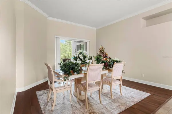 6234 TREMAYNE DR, Mount Dora, FL 32757