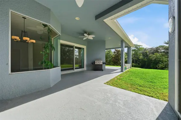 6234 TREMAYNE DR, Mount Dora, FL 32757