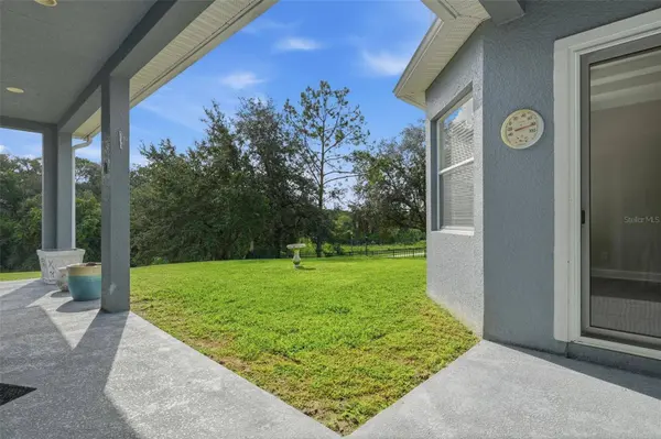 6234 TREMAYNE DR, Mount Dora, FL 32757