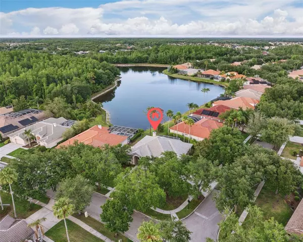 10232 ESTUARY DR, Tampa, FL 33647