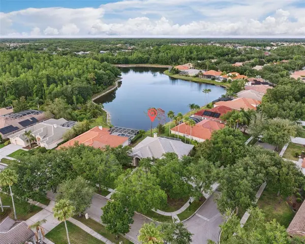 10232 ESTUARY DR, Tampa, FL 33647