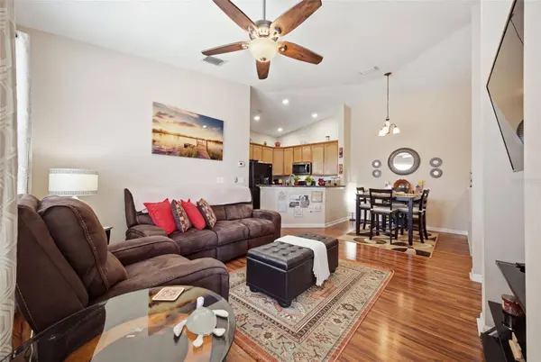 8924 MOONLIT MEADOWS LOOP, Riverview, FL 33578