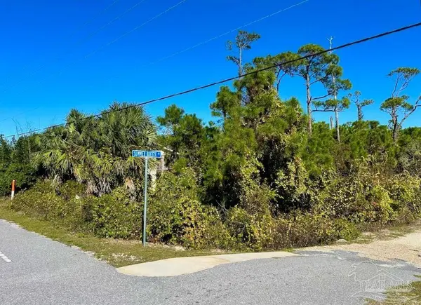 0 Cape San Blas Rd, Port St Joe, FL 32456