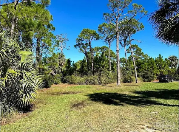 0 Cape San Blas Rd, Port St Joe, FL 32456