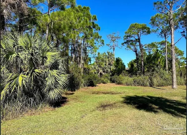 0 Cape San Blas Rd, Port St Joe, FL 32456