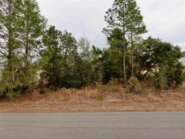 11072 LIBERTO RD, Weeki Wachee, FL 34614