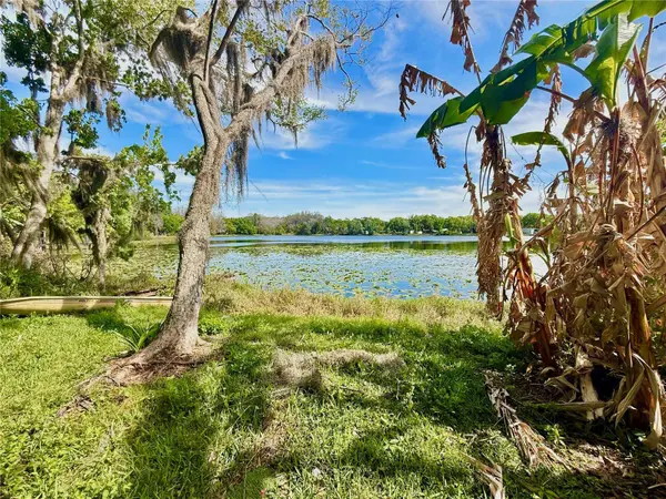 14618 GENEVA DR, Odessa, FL 33556