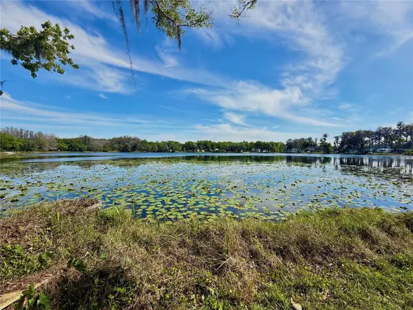 14618 GENEVA DR, Odessa, FL 33556