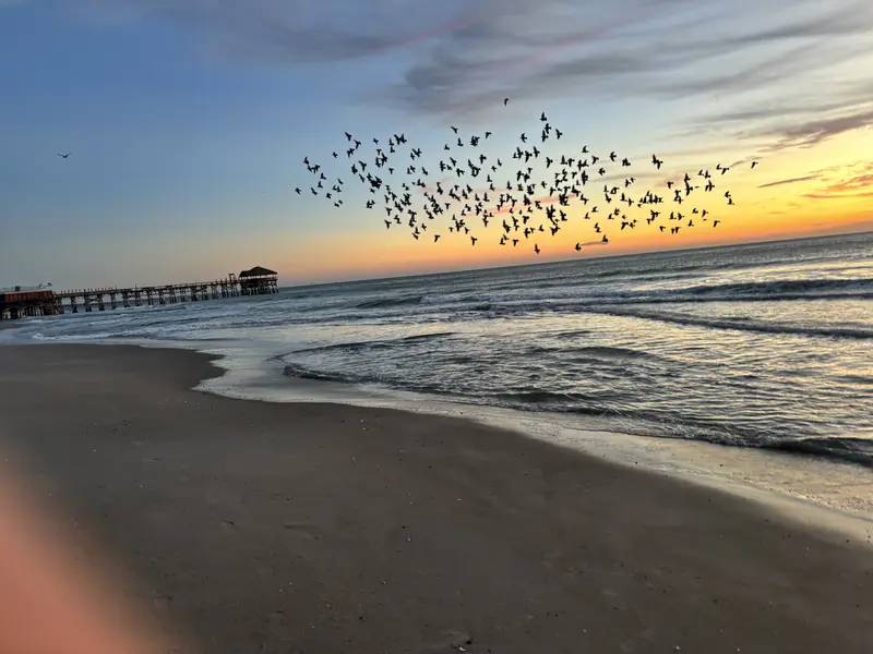 Virginia Beach