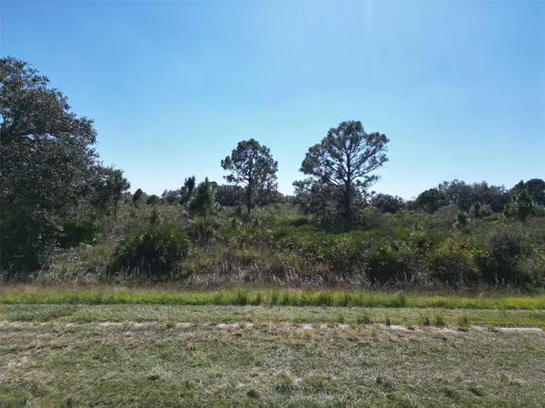 15031 NW 262ND ST, Okeechobee, FL 34972