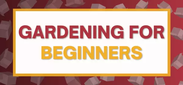 Gardening for Beginners,Team MRG