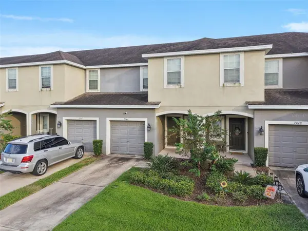 7046 TOWNE LAKE RD, Riverview, FL 33578