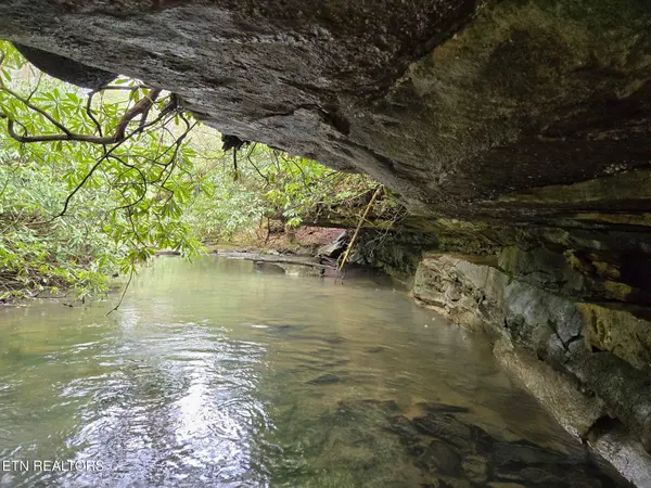 1335 Laurel WAY, Monterey, TN 38574