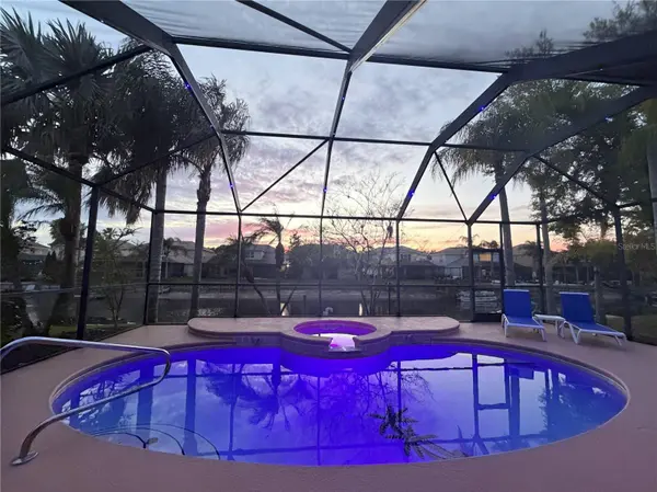 18028 MALAKAI ISLE DR, Tampa, FL 33647