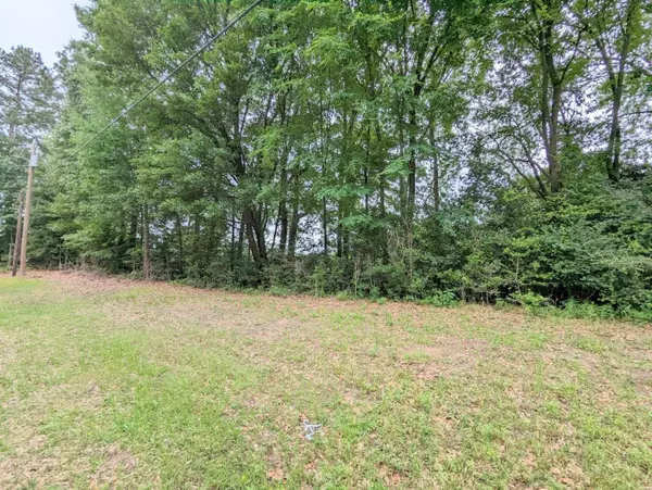 TBD Royal Lake DR, Willis, TX 77303