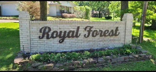 TBD Royal Lake DR, Willis, TX 77303